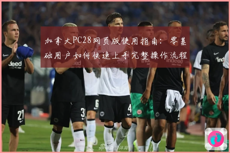 加拿大PC28网页版使用指南：零基础用户如何快速上手完整操作流程解析