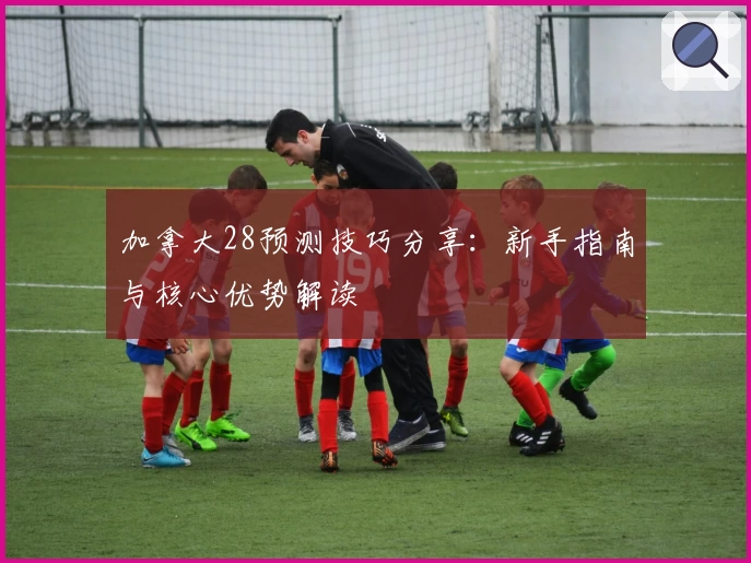 加拿大28预测技巧分享：新手指南与核心优势解读