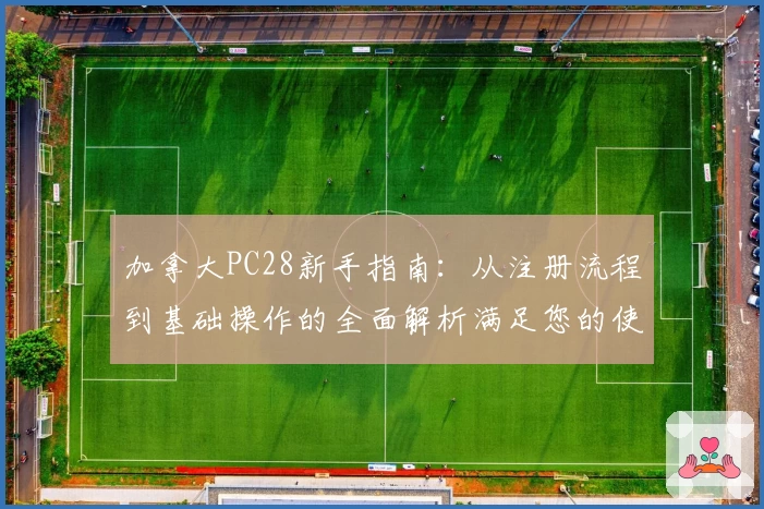 加拿大PC28新手指南：从注册流程到基础操作的全面解析满足您的使用需求