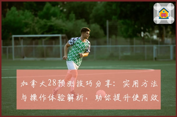 加拿大28预测技巧分享：实用方法与操作体验解析，助你提升使用效率