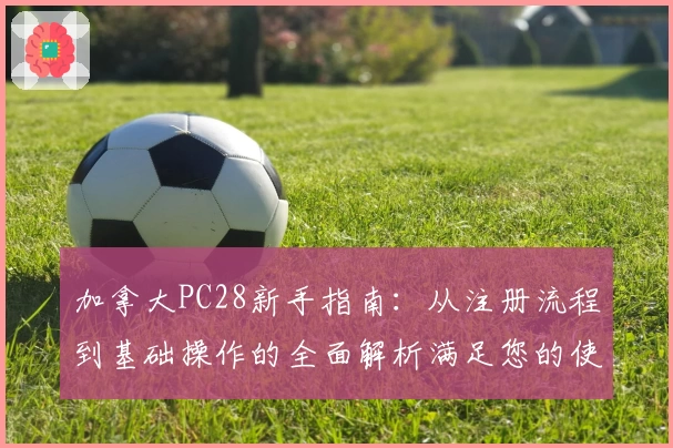 加拿大PC28新手指南：从注册流程到基础操作的全面解析满足您的使用需求