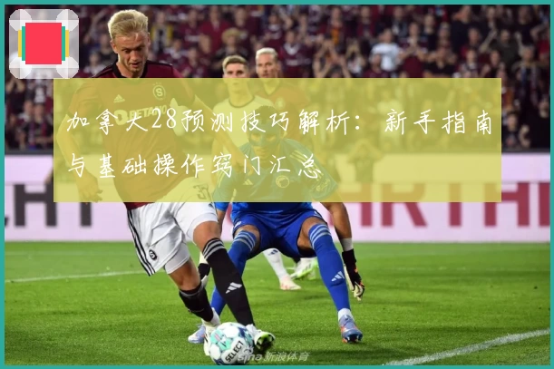 加拿大28预测技巧解析：新手指南与基础操作窍门汇总