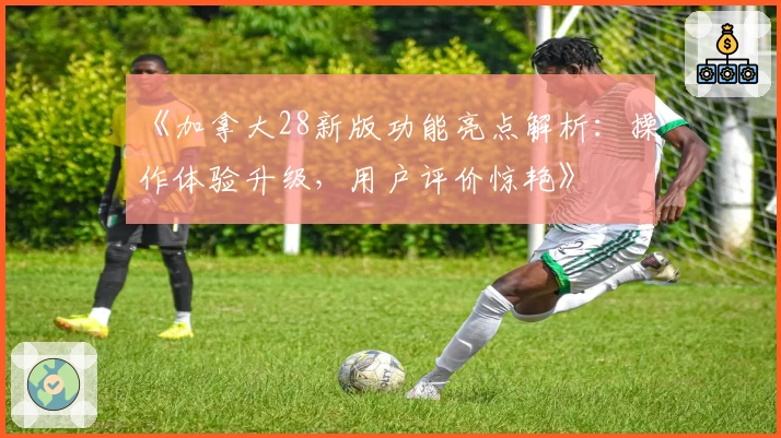 《加拿大28新版功能亮点解析：操作体验升级，用户评价惊艳》