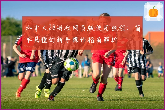 加拿大28游戏网页版使用教程：简单易懂的新手操作指南解析