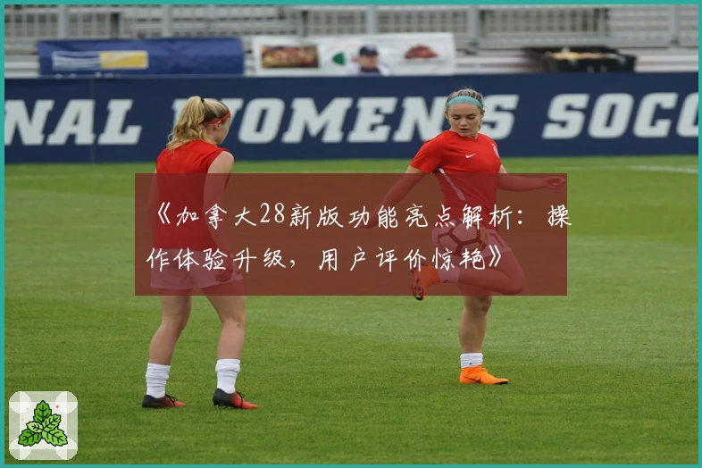 《加拿大28新版功能亮点解析:操作体验升级,用户评价惊艳》